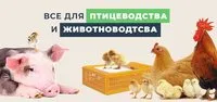 Кормушки для бройлера, для кур