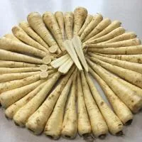Пастернак мытый