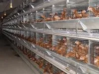 Агрегаты для птицеводства