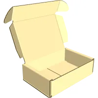 Гофроящик для почтовых отправлений 165x115x50 B