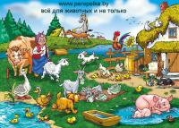 Поение домашней птицы